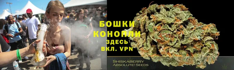 Шишки марихуана THC 21%  мориарти наркотические препараты  Мурманск  где купить наркоту 